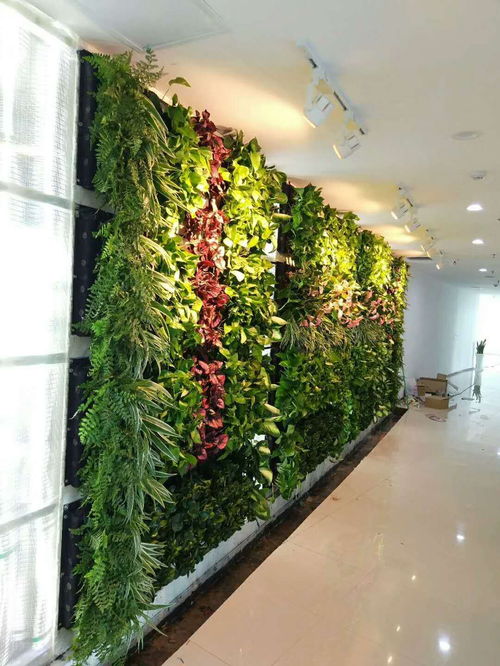 垂直绿化在室内设计中的应用