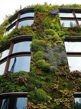 垂直绿化对建筑节能的影响