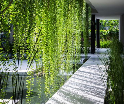 室内垂直绿化的环境益处