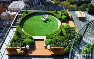 城市屋顶花园的生态效益