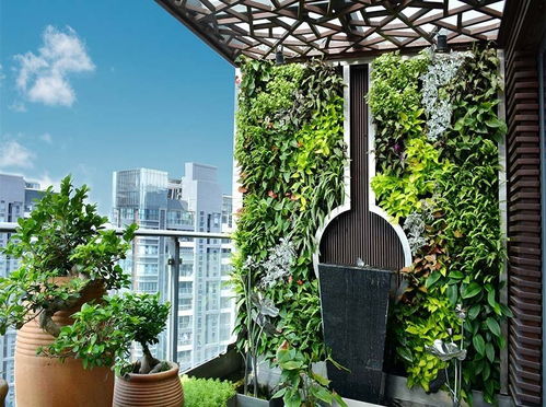 垂直绿化对提升空气质量的作用是