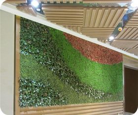 植物墙施工流程与养护管理内容