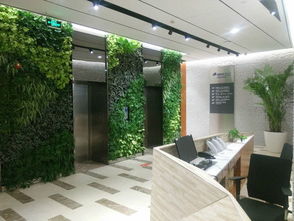垂直绿化墙一般用什么植物